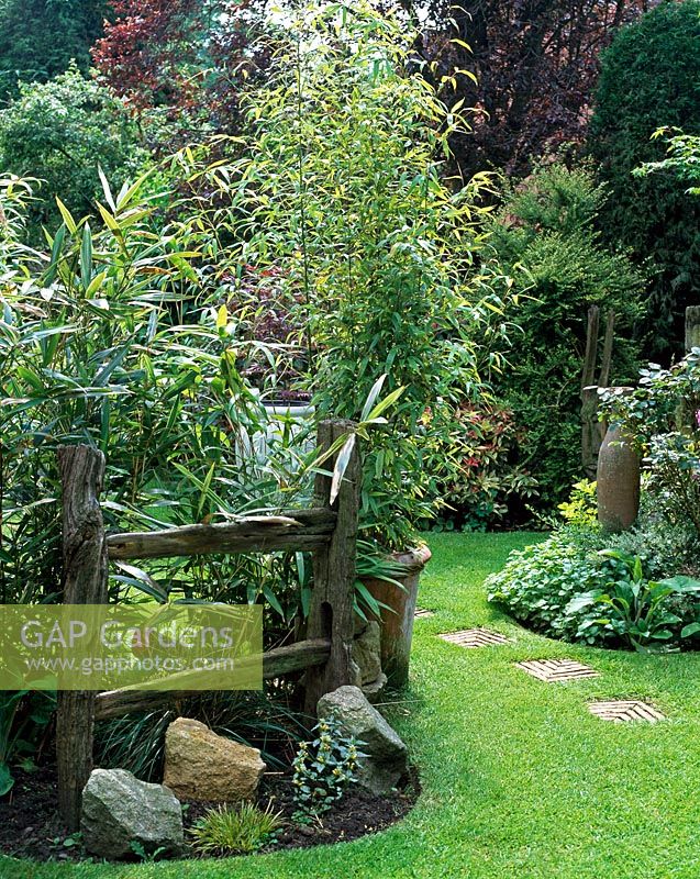 Tall bamboo against old weathered wooden fence with large stones, backed by mature trees and stepping stones in lawn leading to another area of the garden - Courtwood House, Staffordshire NGS