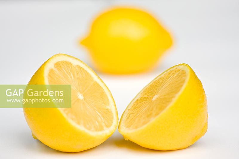 Lemon 'Eureka'