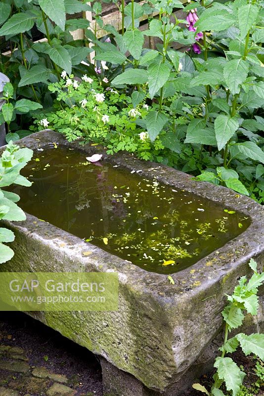 Small stone sink used as water feature