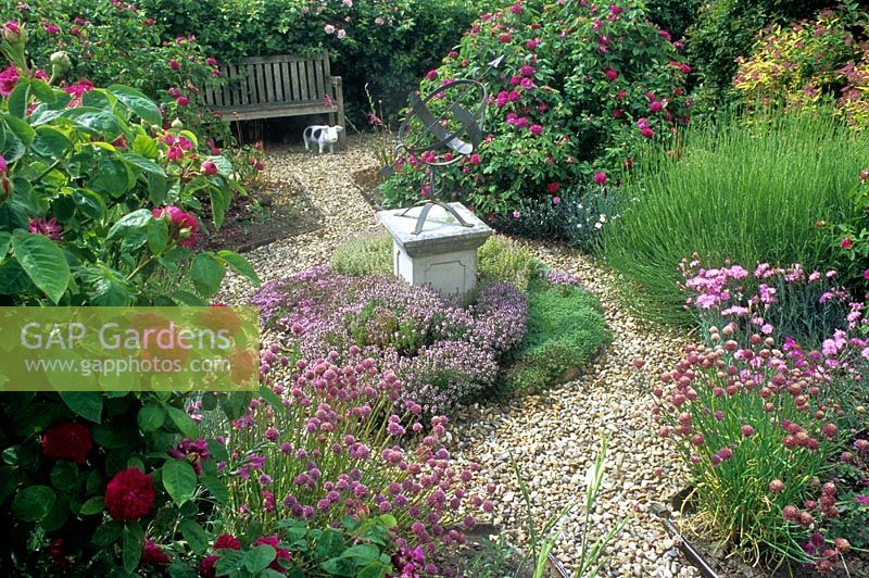 Sundial on plinth surrounded by herbs including Allium and Thymus. Roses and wooden bench in background.