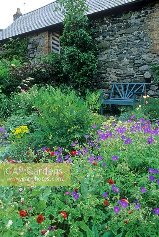 Seating area in cottage garden overlooking bed of Geraniums, Geum and Tree Peony - Plas-yn-Llan, Llanrhaeadr-ym-Mochnant, Wales