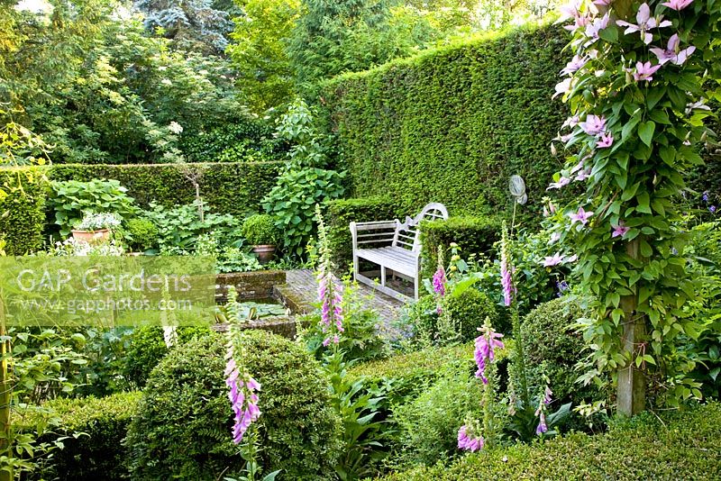 Formal garden with seating area overlooking flowerbeds, clipped Buxus and Taxus hedges, Clematis 'Hagley Hybrid' in foreground 