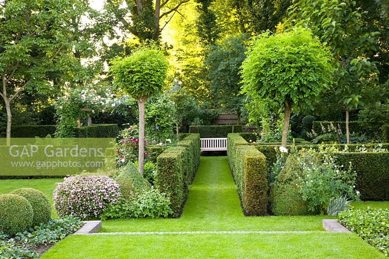 Formal garden with clipped Buxus hedging and trained trees leading to wooden bench