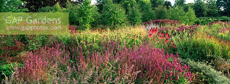 The Perennial Meadow at Scampston Hall designed by Piet Oudolf