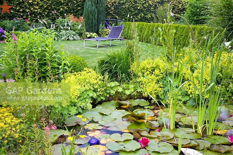 Pond with Nymphaea surrounded by Alchemilla mollis in garden with sunlounger on lawn in backround