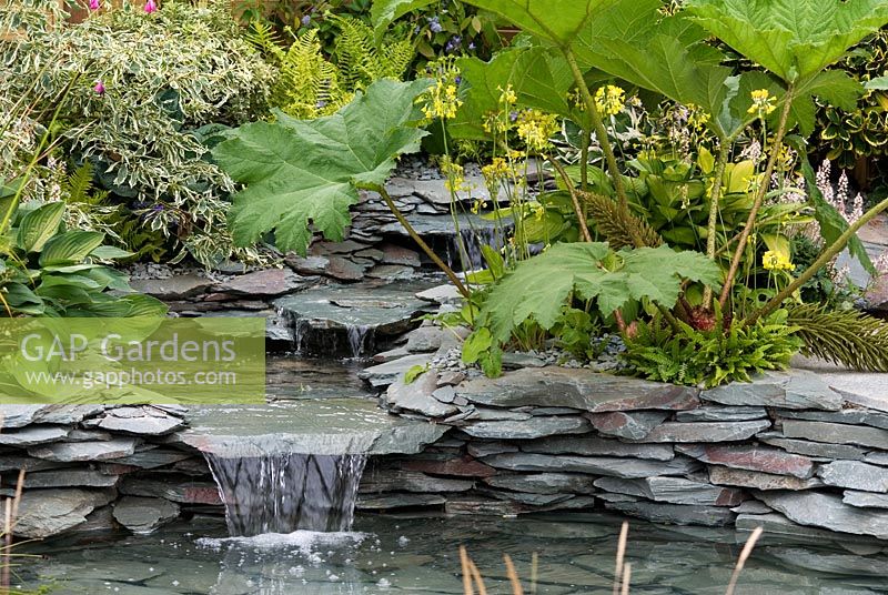 Waterfall using slate and planting with Gunnera, Hosta, Ferns and Cornus in the 'My own little bit of the lakes' garden, Exhibitor - Paul Dyer 'Very interesting water feature and landscape company', Tatton Flower Show 2008