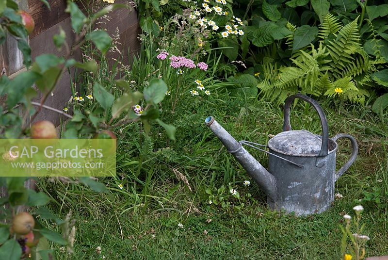 Galvanised metal watering can on lawn in 'The Cider House Rules - OK!' garden, Exhibitor - Jacqui Brocklehurst, Designer - Jacqui Brocklehurst 'Colour my Garden', Tatton Flower Show 2008