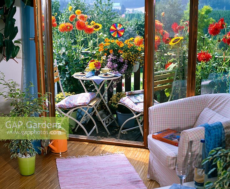 View from room of miniture balcony with containers of Dahlia, Tagetes, Sanvitalia and Scaevola and table covered with cups and plates