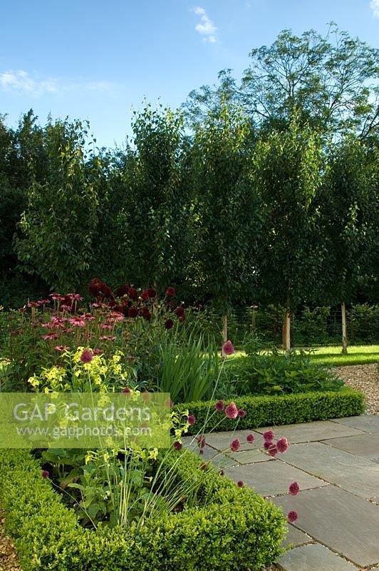 Paved terrace surrounded by low clipped evergreen hedges and flowerbeds - Rolls Farm, Helions Bumpstead, Essex
