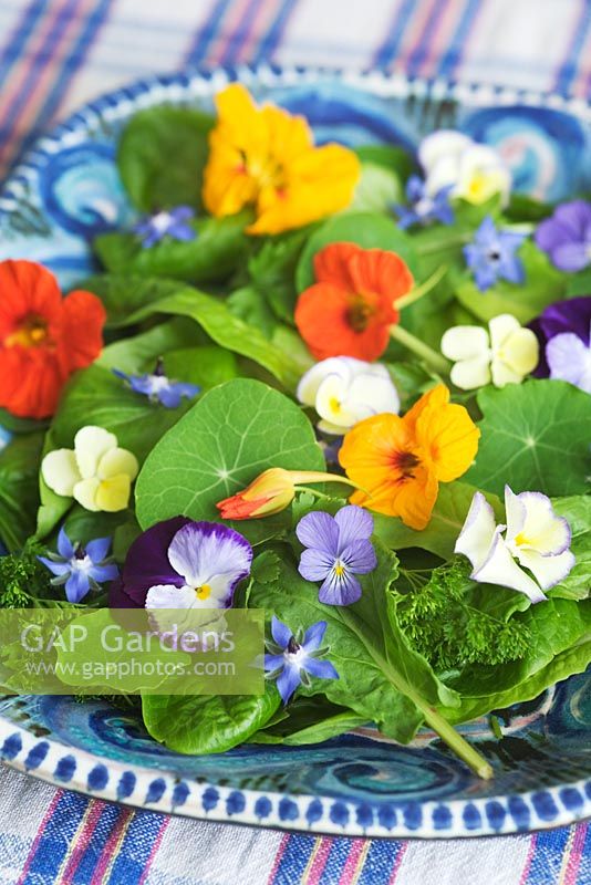 Herb salad of edible flowers and leaves, including borage, nasturtium flowers and leaves, pansy, parsley and sorrel.
