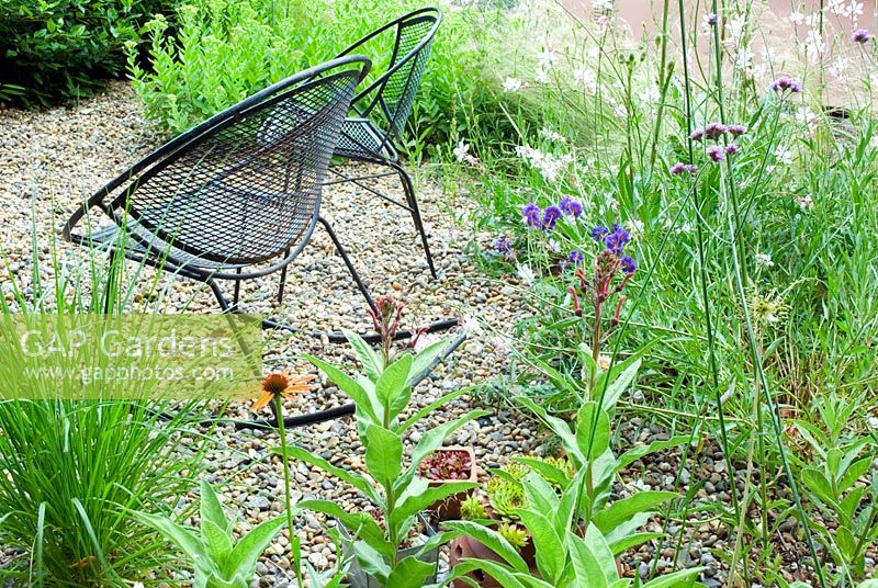 Seating area on gravel - Dry planting includes Echinacea 'Arts Pride' and Verbena