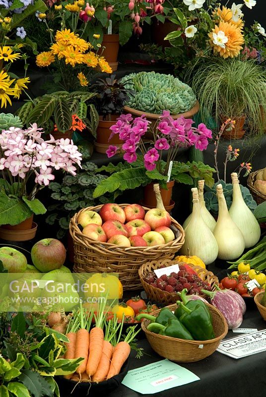 Entries of vegetables, fruit and flowers in Flower Show - Norfolk Gardening Fayre 2008, Notcutts Garden Centre, Norwich