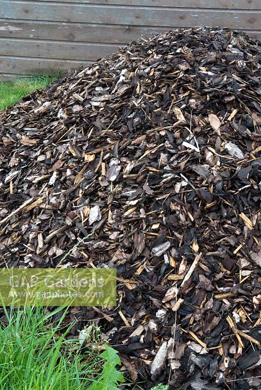 Heap of wood chippings ready for use as mulch or for pathways through the garden