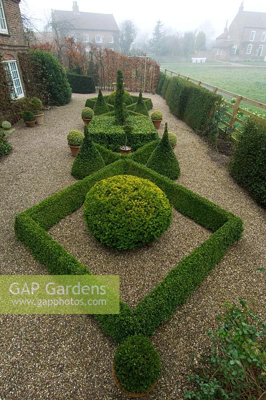 Formal gravel garden with Buxus topiary - Hatch End, Yorkshire