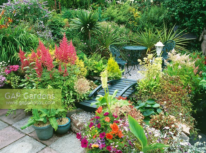 Small exotic garden with patio area, bridge and pond, plants include - Astilbe, Eucomis, Allium and Cordyline