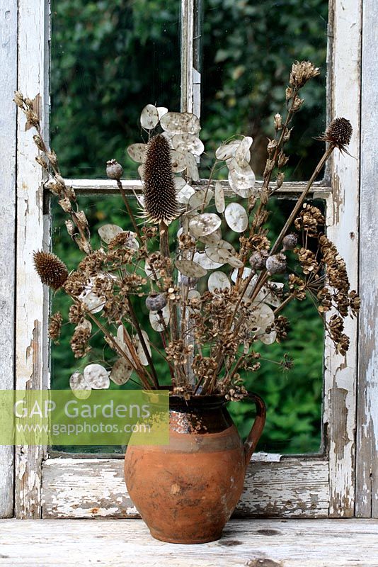 Rustic dried flower arrangement with Lunaria, Papaver and Dipsacus fullonum - Honesty, Poppies and Teasels