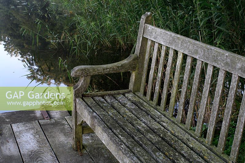 Wooden bench on jetty, surrounded by Norfolk Reeds