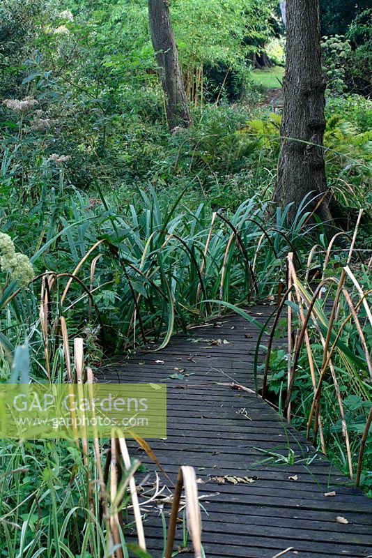 Wooden boardwalk through a bog garden, edged with bamboo canes
