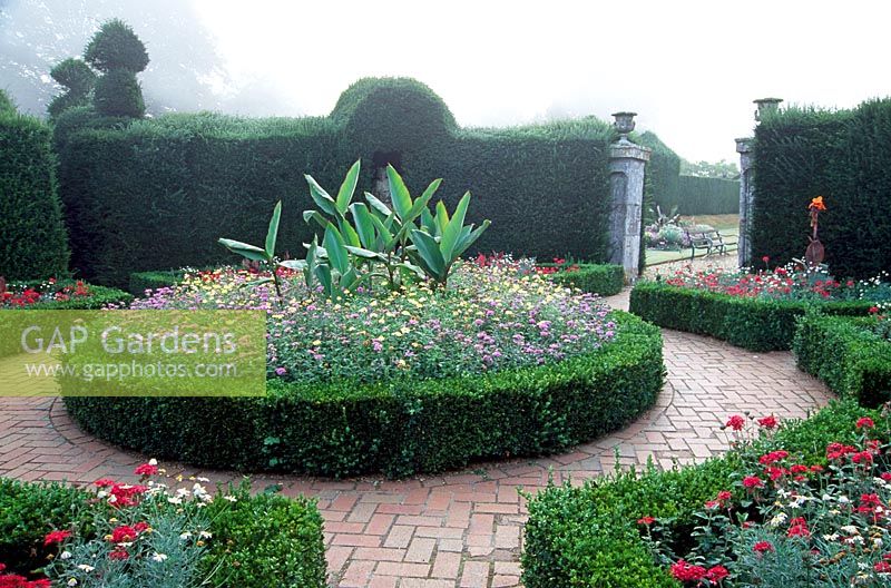 The Brick Garden with box edged beds.  Central bed contains Canna 'Musifolia' and Canna 'La France'. Outer beds contain Canna 'Durban', Argyranthemum foeniculaceum and Verbena 'Edith Eddleman'