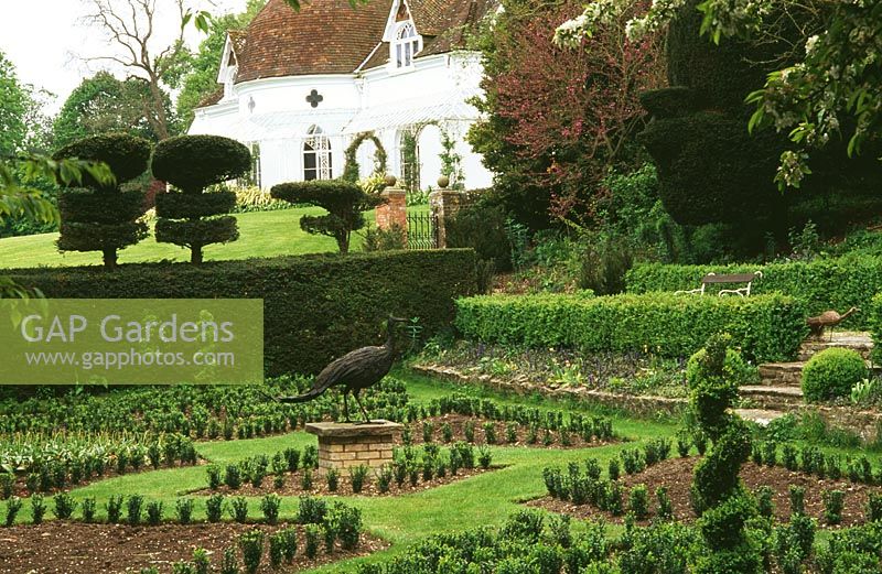 The peacock garden with newly planted box hedges, flowering Cercis siliquastrum and central sculpture made in Zimbabwe from old car bodies - Houghton Lodge gardens, Stockbridge, Hants