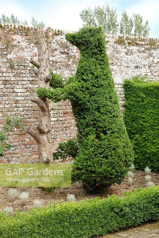 Bear shaped yew topiary 