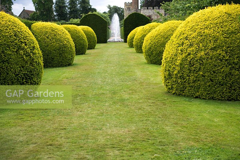 Topiary spheres of Taxus either side of lawn with fountain in the distance
