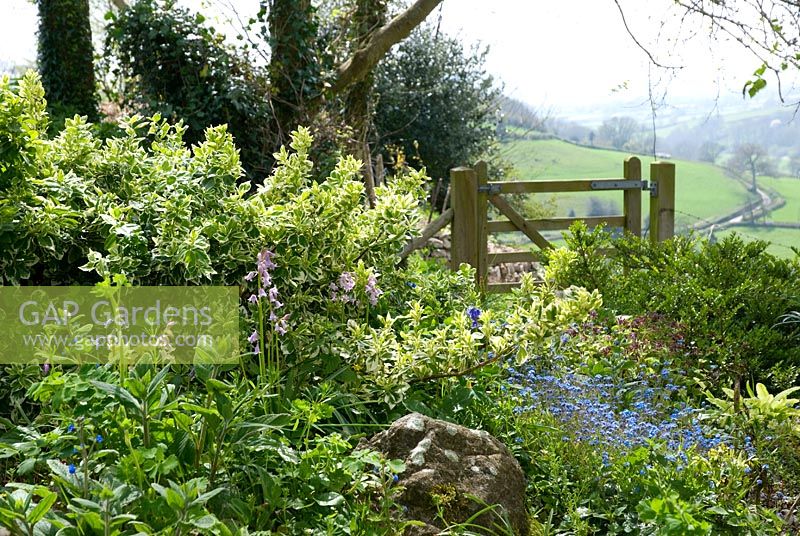 Spring flowers and gate with view across countryside