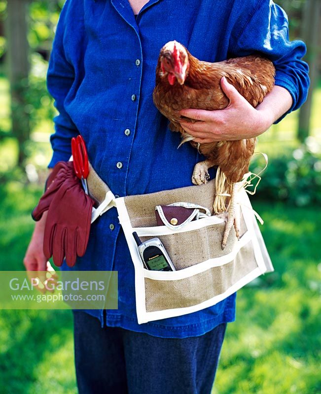 Gardener with double pocket tool belt and hen