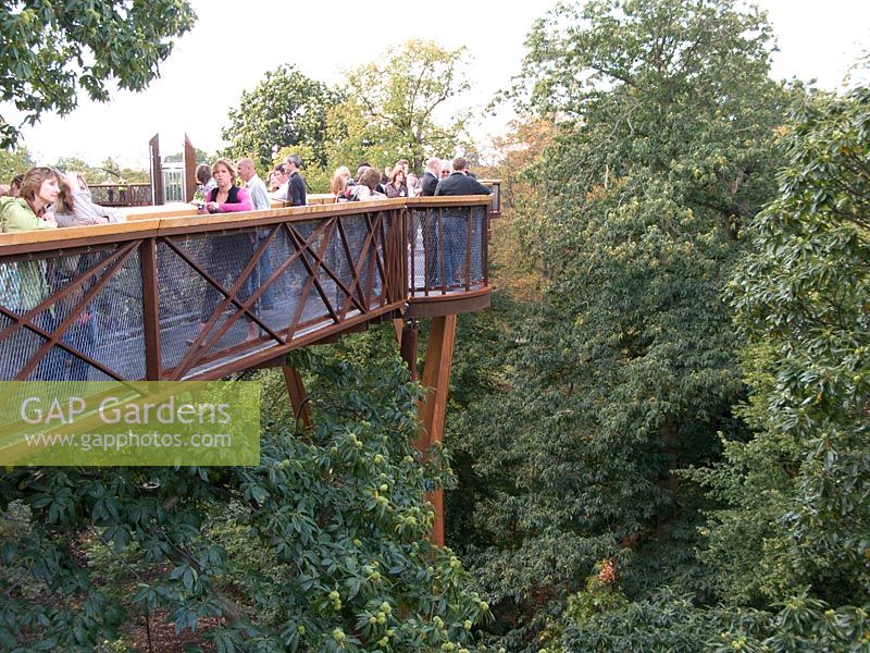 People standing on Xstrata tree top walkway, Kew Gardens.