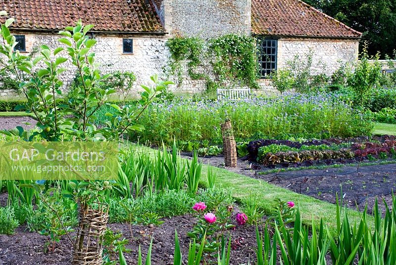 Cutting garden bed in kitchen garden at Narborough Hall NGS 