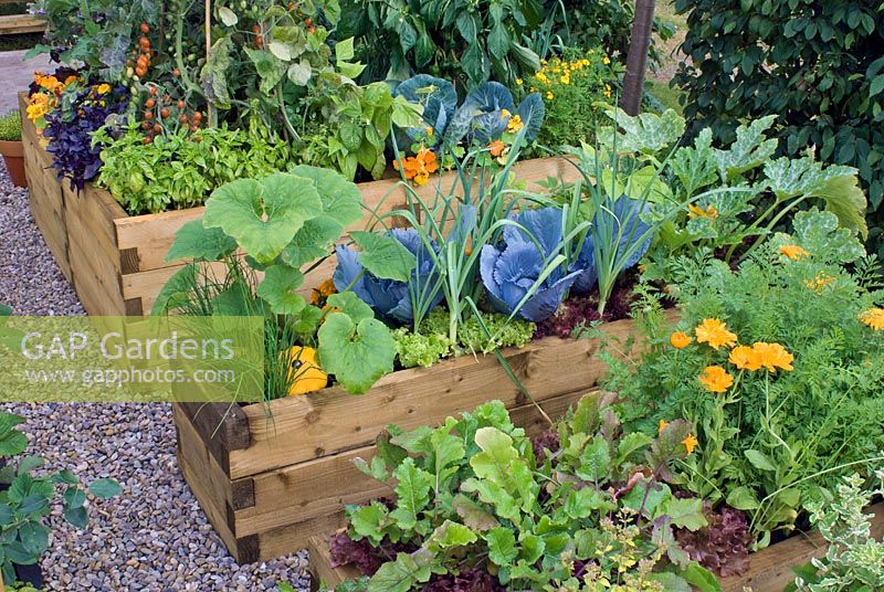 Vegetables in raised timber beds - The Homebase Room with a view Garden - Hampton Court Flower Show 2008