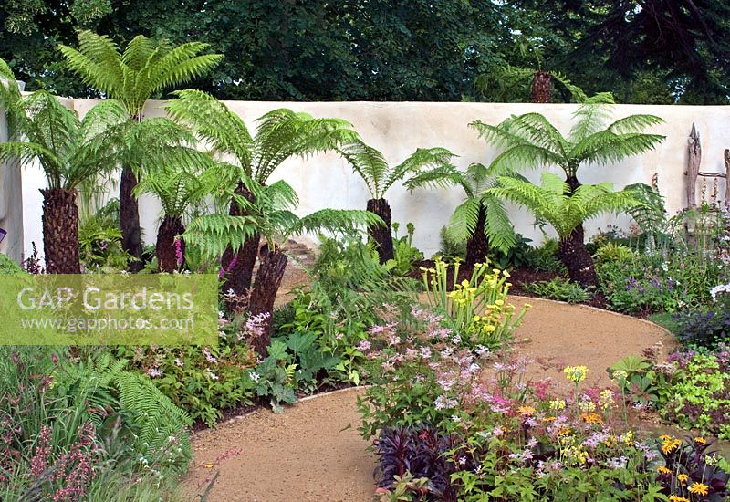 Dicksonia antarctica in show garden at RHS Hampton Court Flower Show 2008