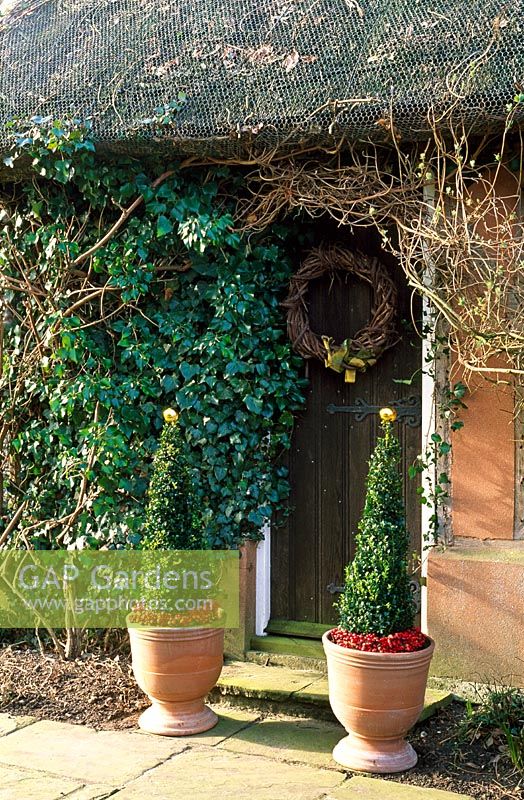 Decorated topiary in containers either side of front door of thatched cottage