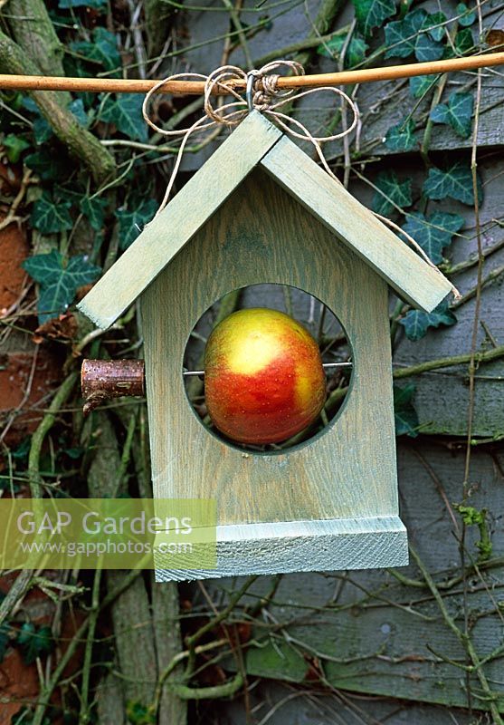 Rustic wooden birdfeeder with apple