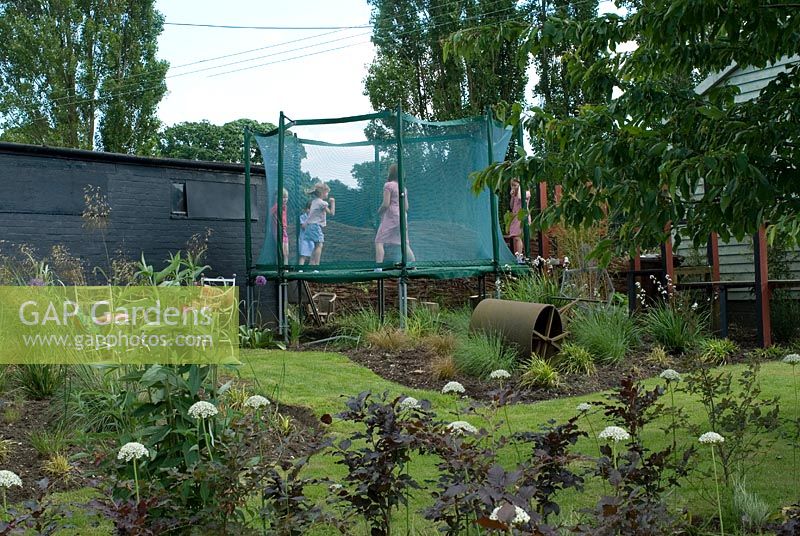 Fagus sylvatica - Copper Beech spiral and Allium multibulbosum, trampoline with safety net in the background - Lucy Redman's School of Garden Design