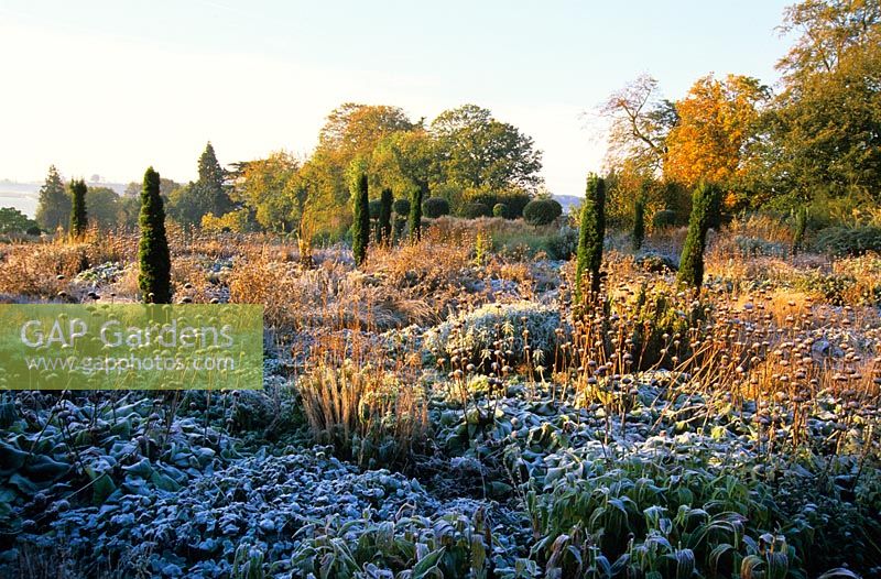 Frost on perennials and grasses at Broughton Grange, Oxfordshire