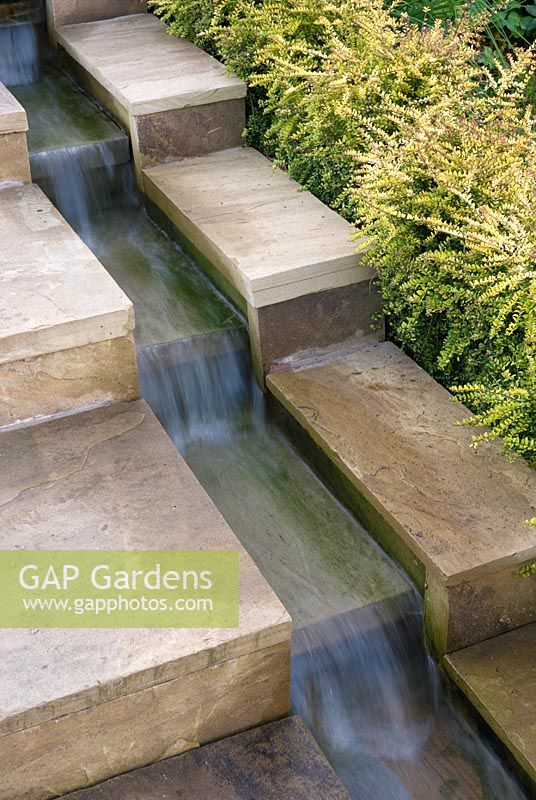 Water running down stepped rill with clipped hedge of Lonicera nitida 'Baggesen's Gold'