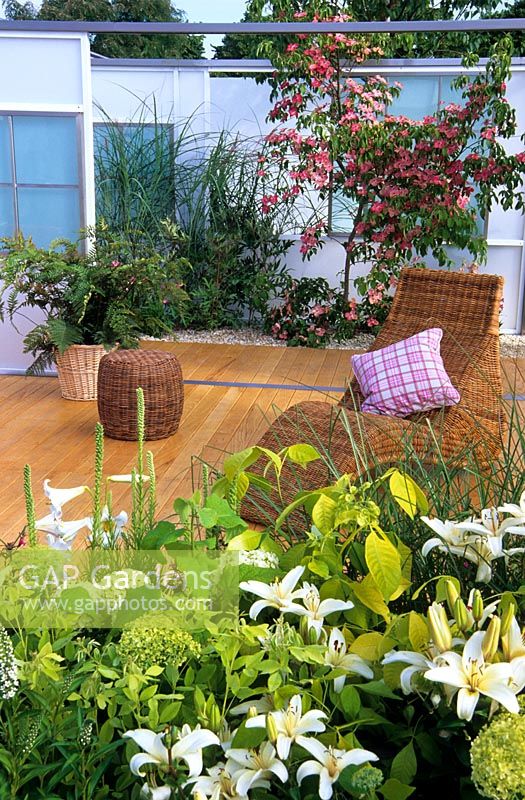 Outdoor room with decking, a wicker chair and Cornus kousa 'Satomi'. 'A Woman's Sanctuary' garden designed by Sarah Eberle at RHS Hampton Court Flower Show.