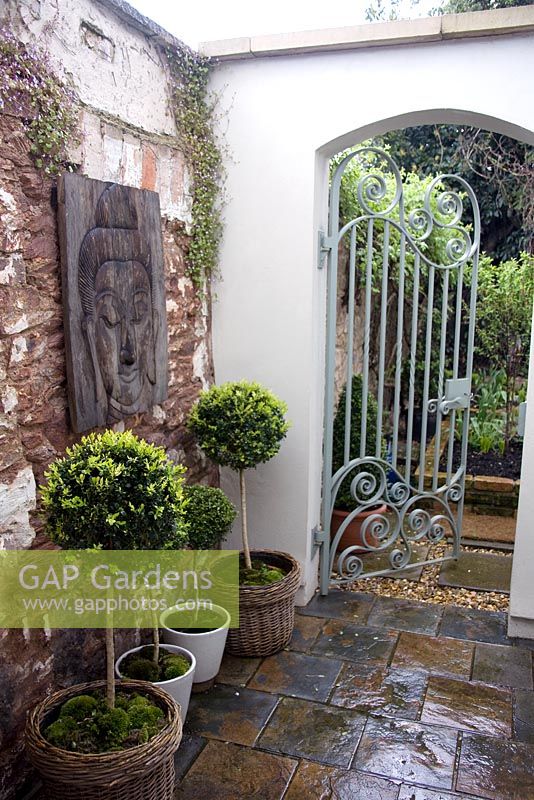 Small courtyard in an urban garden with Box lollipops and ornamental metal gate