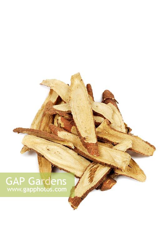 Glycyrrhiza uralensis - Chinese liquorice root - This is used in Chinese Medicine to treat asthma, coughs, peptic ulcers, boils and sore throats