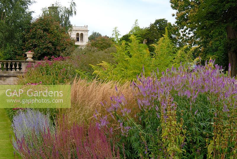 The Italian Garden at Trentham, border designed by Piet Oudolf with Veronicastrum, Calamagrostis 'Karl Foerster', Perovskia 'Little Spire', Datisca cannabina and Echinacea 'Rubinglow' 