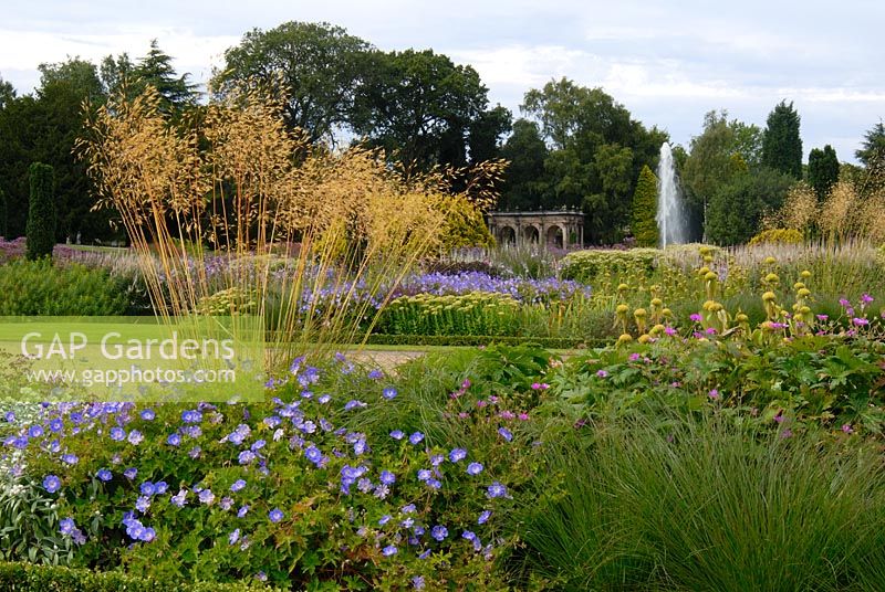 Mixed perennials and ornamental grasses including Geranium, Phlomis and Stipa gigantea in The Italian Garden at Trentham, designed by Tom Stuart-Smith