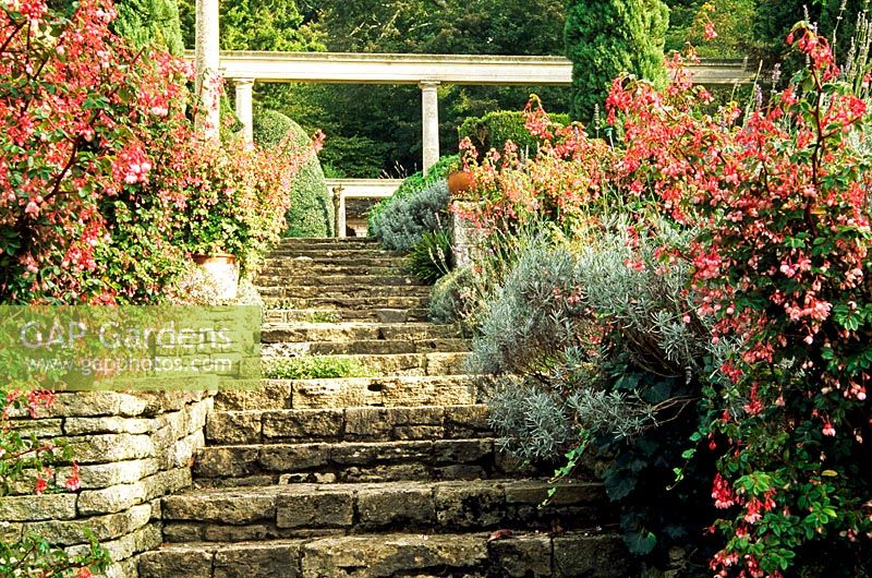 Pots of Begonia fuchsiodes frame stone steps linking the garden's terraces - Iford Manor, Bradford-on-Avon, Wiltshire