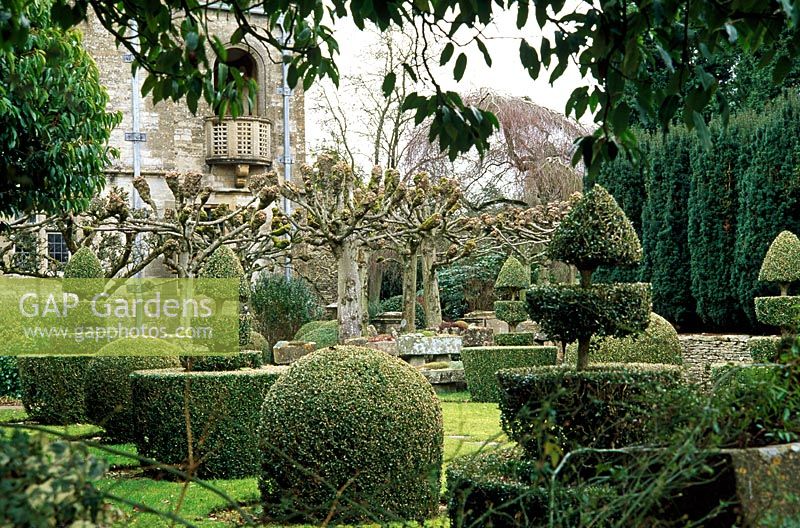 The Topiary Garden with knobbly limes in Winter Garden beyond - Rodmarton Manor, Gloucestershire
