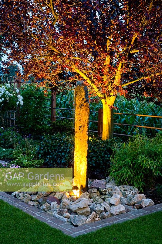 Illuminated tree and water feature