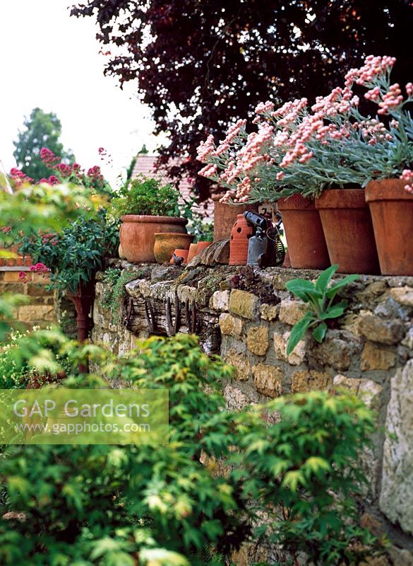 Plants in terracotta pots on top of old stone wall