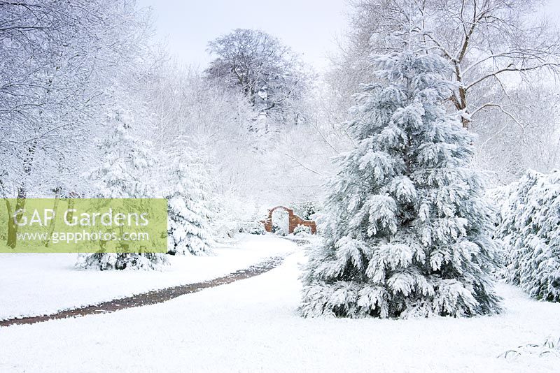 Snow covered trees and path at Honeybrook House Cottage, Worcestershire in April