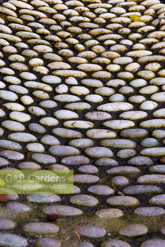 Natural pebbles or cobbles of different colours set on their side in concrete to create a surface to walk on