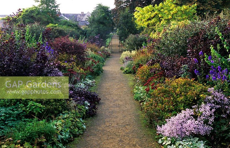 Path through double borders at entrance of garden at Parham, Sussex in autumn with Cotinus 'Royal Purple' 