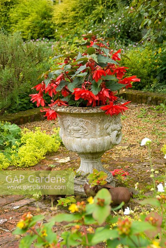 Begonias in ornamental planter with flying pig ornaments at base